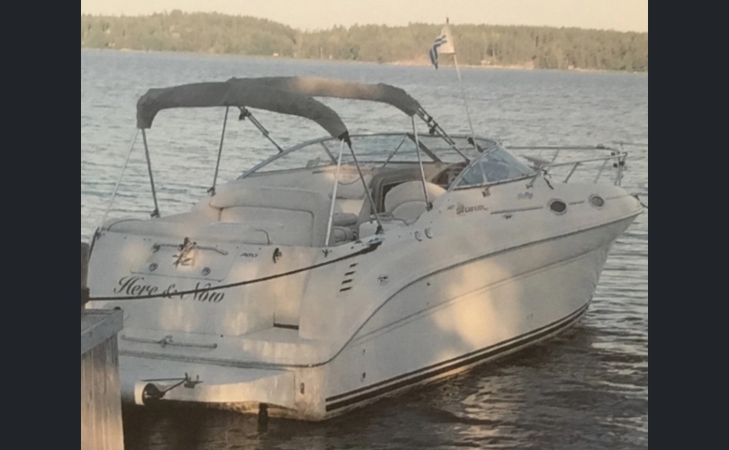 Sea Ray Sundancer 260-kuva-5